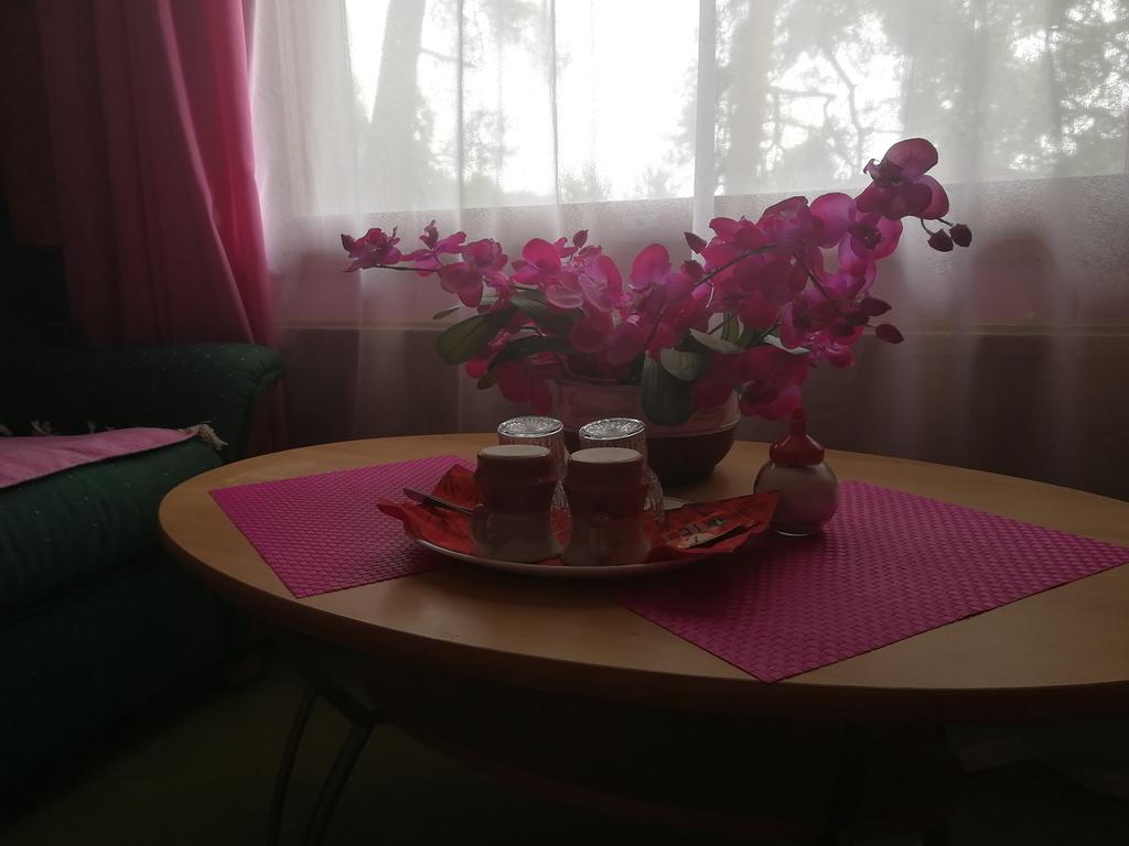 Hotel Villa Vanessa Siltakyla Luaran gambar